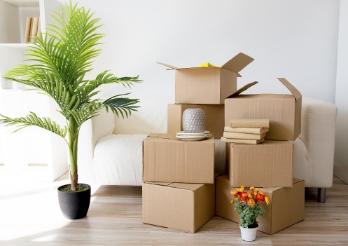 Moving Towards Financial Security