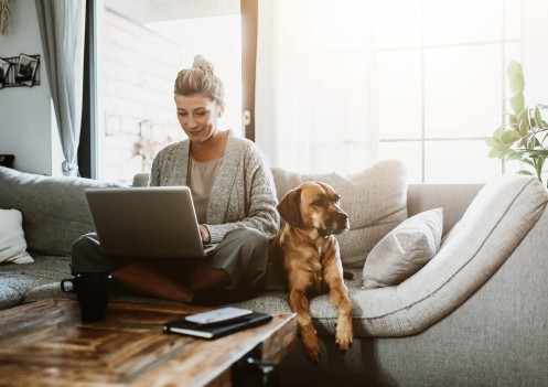 A Quick Task to Ease Your Mind